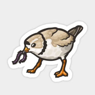 Piping Plover Sticker